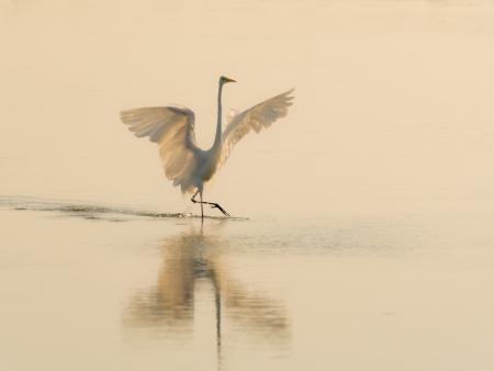 Fotografía accesit. Carlos Giménez Pradas. Amanecer en la Alberca de Alboré