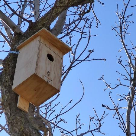 Imagen: Una de las cajas nido instaladas en el CIET de Graus