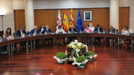 Imagen: Momento del pleno