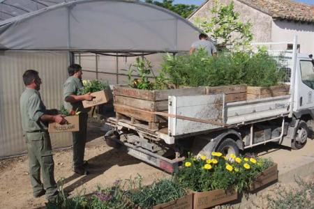 El Vivero Provincial cierra la Campaña de la Flor con una producción...