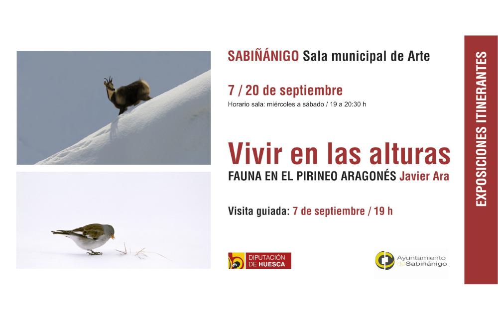 Vivir en las alturas. Fauna del Pirineo aragonés, en Sabiñánigo