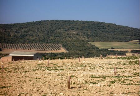 Hacienda da el visto bueno a la cesión del terreno para la creación del...